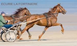 BIGNOLAIS PASCAL - STUDIO NOMADE